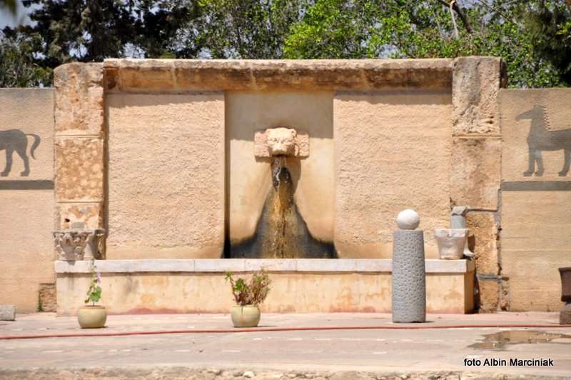 Kartagina Tunezja 16