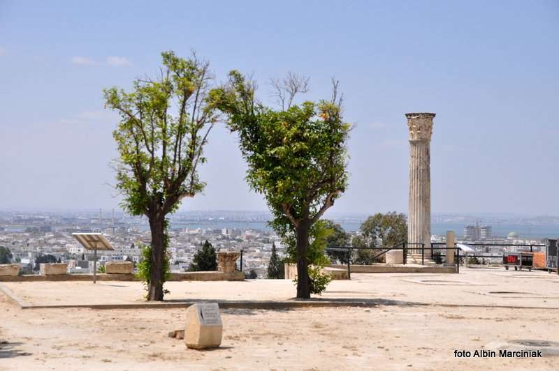 Kartagina Tunezja 17