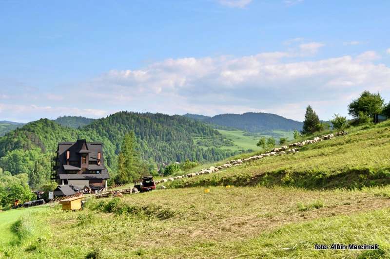 Schronisko PTTK Trzy Korony Pieniny 19