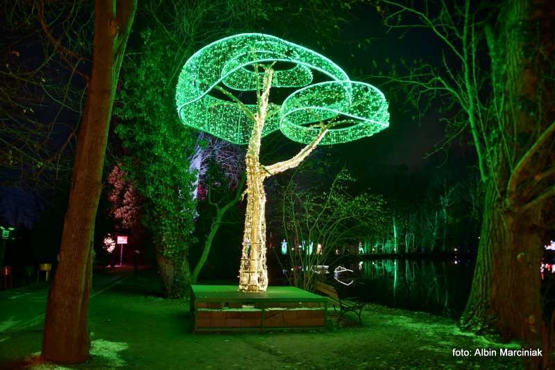 Ogrody Światła Magiczna Podróż w Zamku Topacz 10