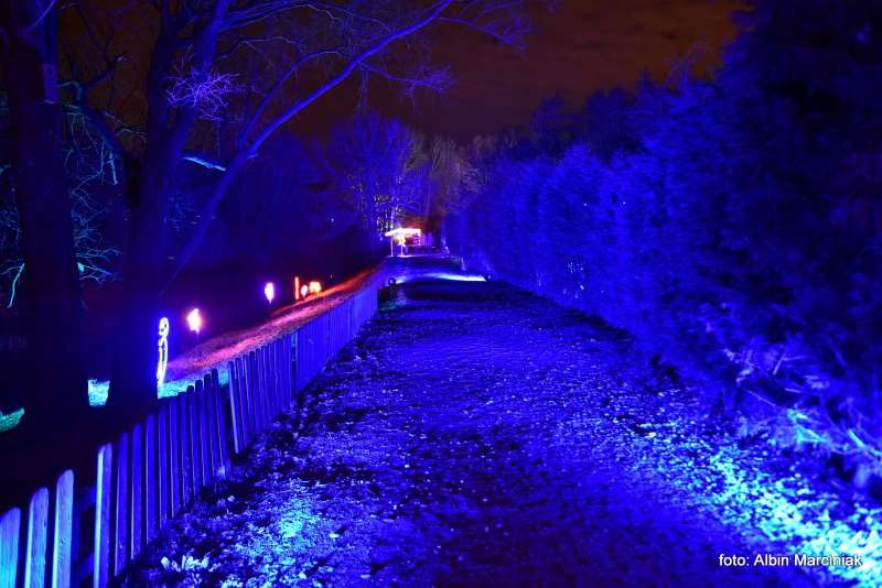 Ogrody Światła Magiczna Podróż w Zamku Topacz 13