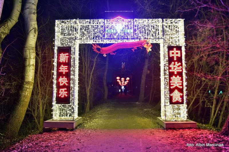 Ogrody Światła Magiczna Podróż w Zamku Topacz 14