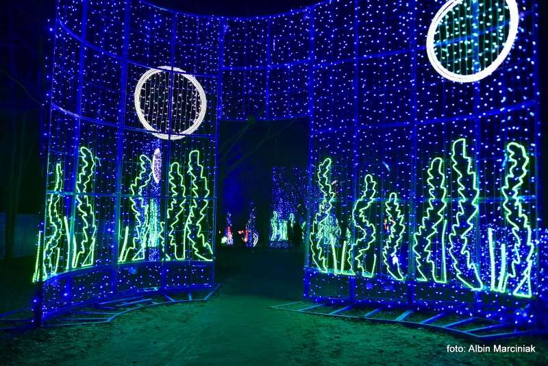 Ogrody Światła Magiczna Podróż w Zamku Topacz 19