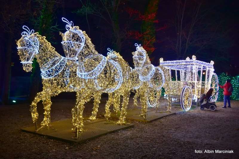 Ogrody Światła Magiczna Podróż w Zamku Topacz 24
