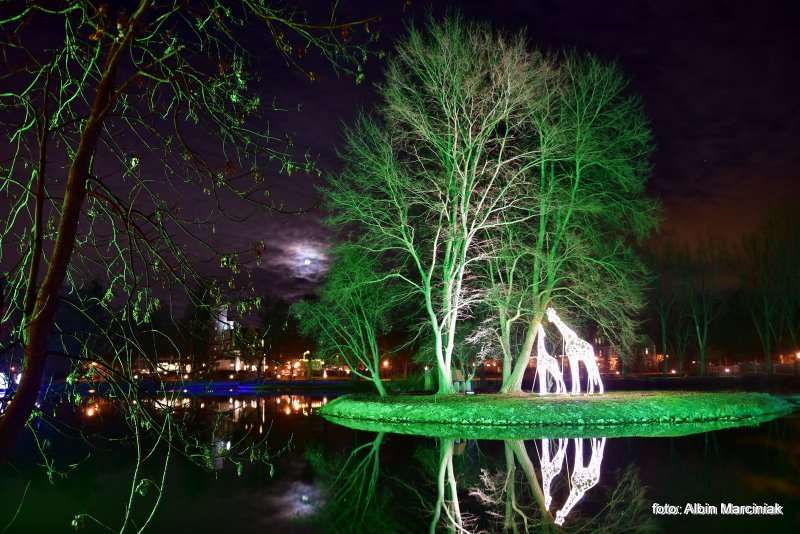 Ogrody Światła Magiczna Podróż w Zamku Topacz 8