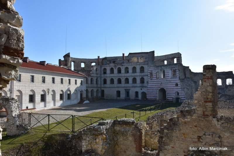 Zamek Janowiec wiosna 2019 foto Albin Marciniak 101