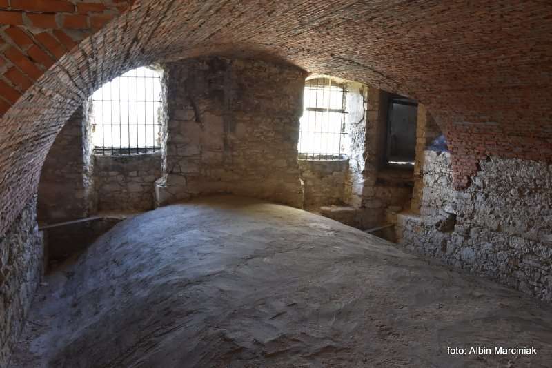 Zamek Janowiec wiosna 2019 foto Albin Marciniak 122