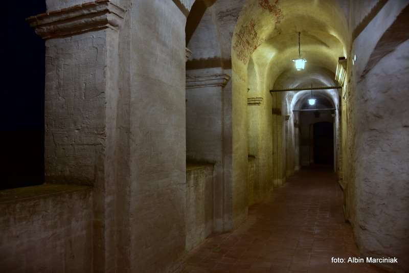 Zamek Janowiec wiosna 2019 foto Albin Marciniak 24