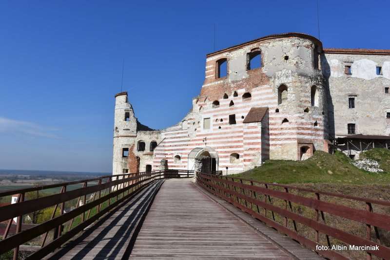 Zamek Janowiec wiosna 2019 foto Albin Marciniak 259