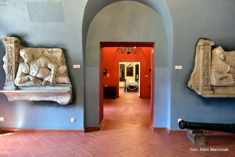 Zamek Janowiec wiosna 2019 foto Albin Marciniak 274