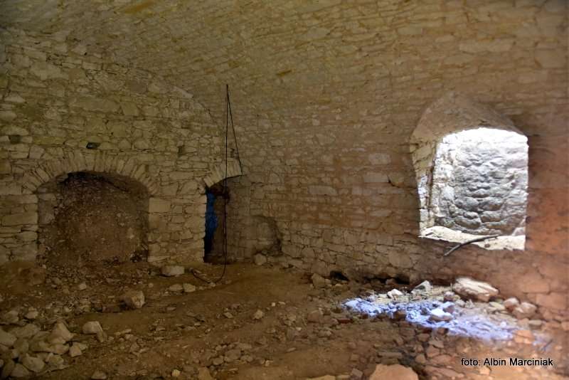 Zamek Janowiec wiosna 2019 foto Albin Marciniak 286