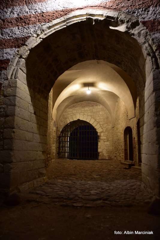 Zamek Janowiec wiosna 2019 foto Albin Marciniak 33