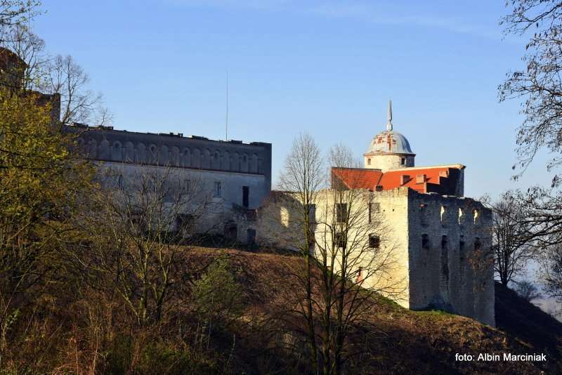 Zamek Janowiec wiosna 2019 foto Albin Marciniak 61