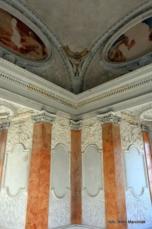 Zamek Janowiec wiosna 2019 foto Albin Marciniak 91