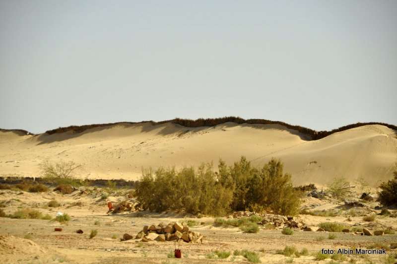 Fatnassa Kebili Tunisia Africa 1