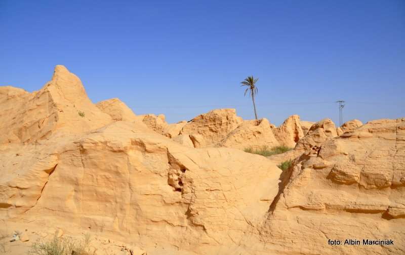 Fatnassa Kebili Tunisia Africa 33