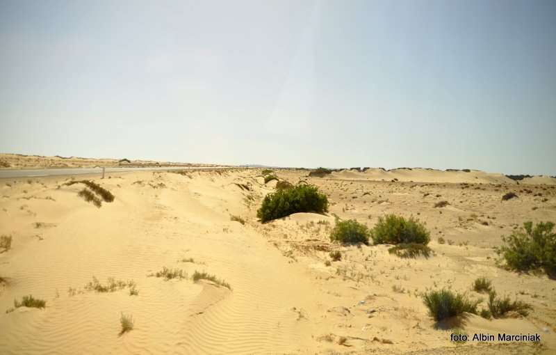 Fatnassa Kebili Tunisia Africa 44