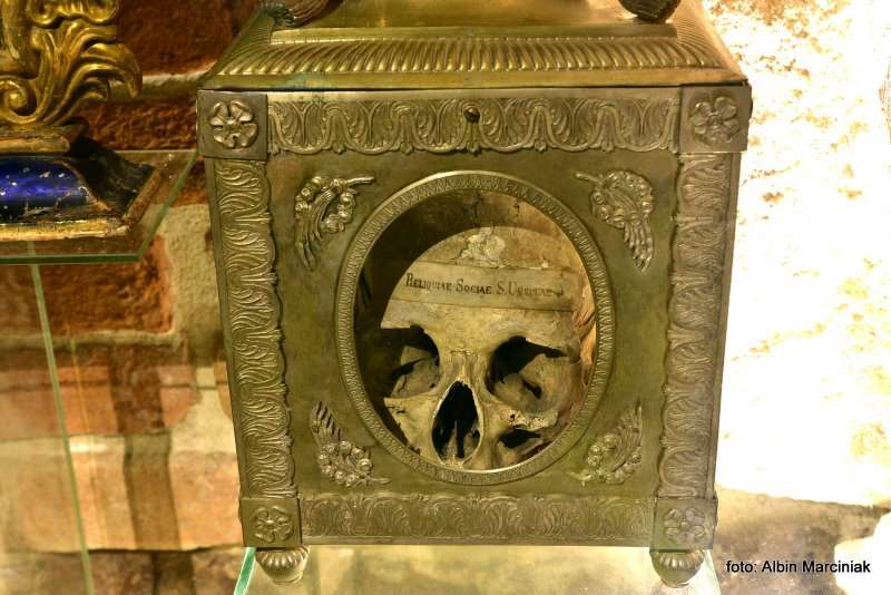 Podziemia Rotunda i Krypty Archikatedry Przemysl 23