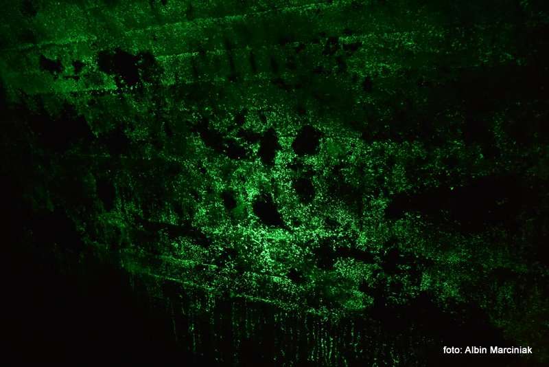 podziemia jelenia gora Time Gates Bramy Czasu 43