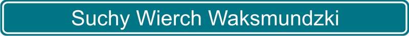 109 Suchy Wierch Waksmundzki
