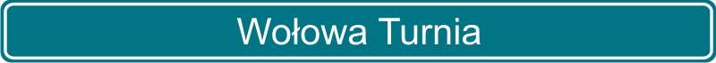 134 Wołowa Turnia