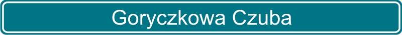17 Goryczkowa Czuba