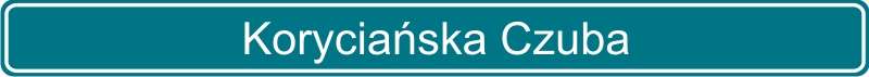 43 Koryciańska Czuba
