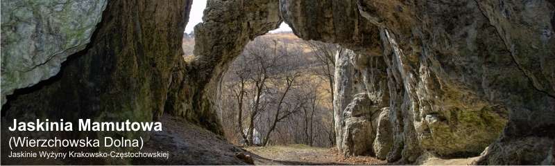 Jaskinia Mamutowa 10