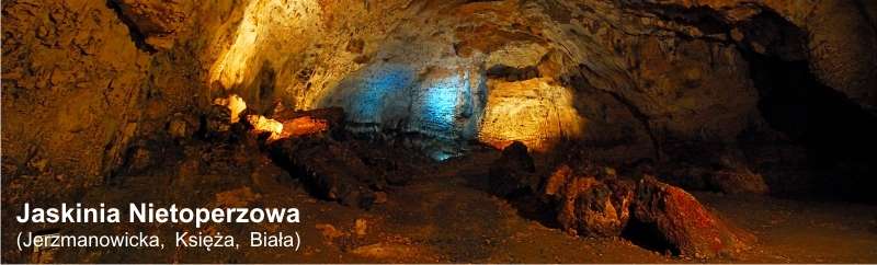 Jaskinia Nietoperzowa