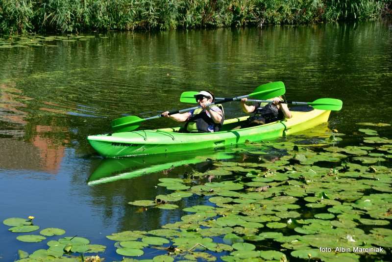 Milicz i Dolina Baryczy Stawy Milickie 1