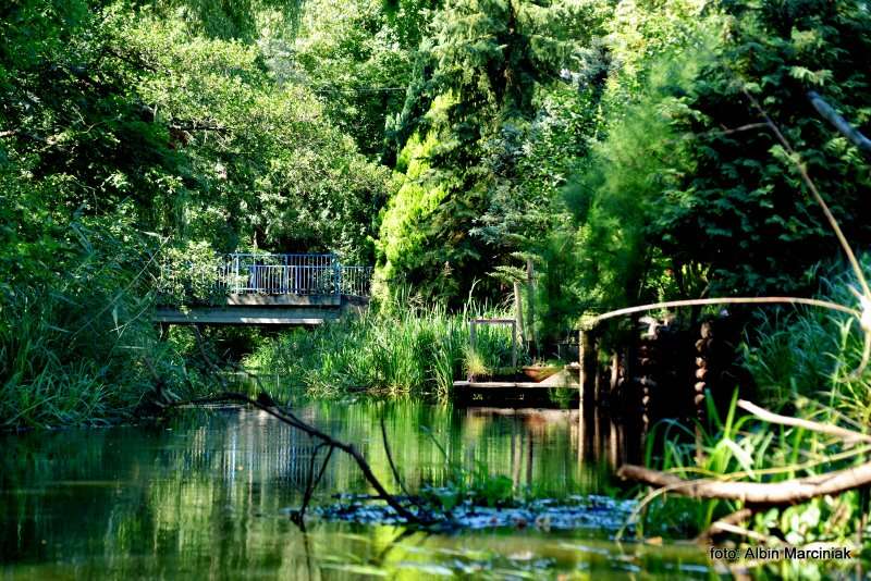 Milicz i Dolina Baryczy Stawy Milickie 12