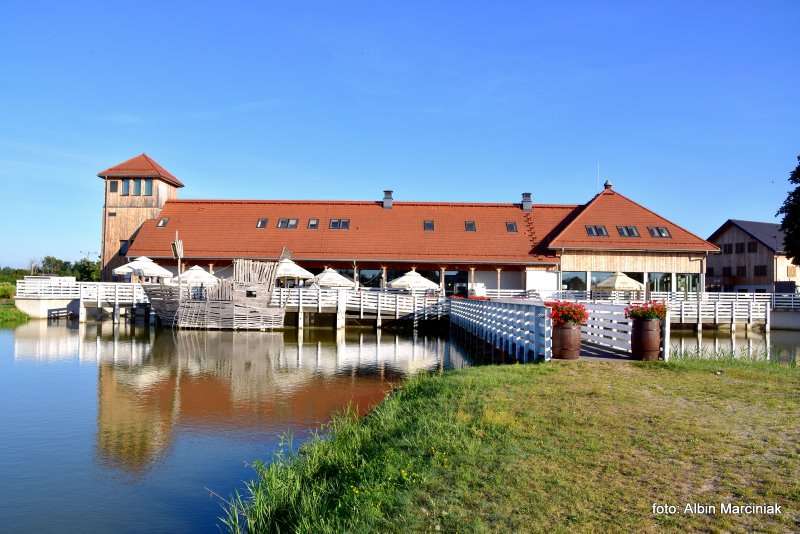 Milicz i Dolina Baryczy Stawy Milickie 20