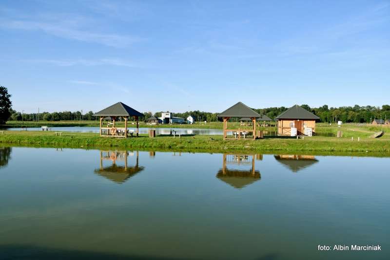 Milicz i Dolina Baryczy Stawy Milickie 21