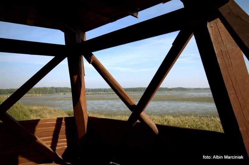 Milicz i Dolina Baryczy Stawy Milickie 31