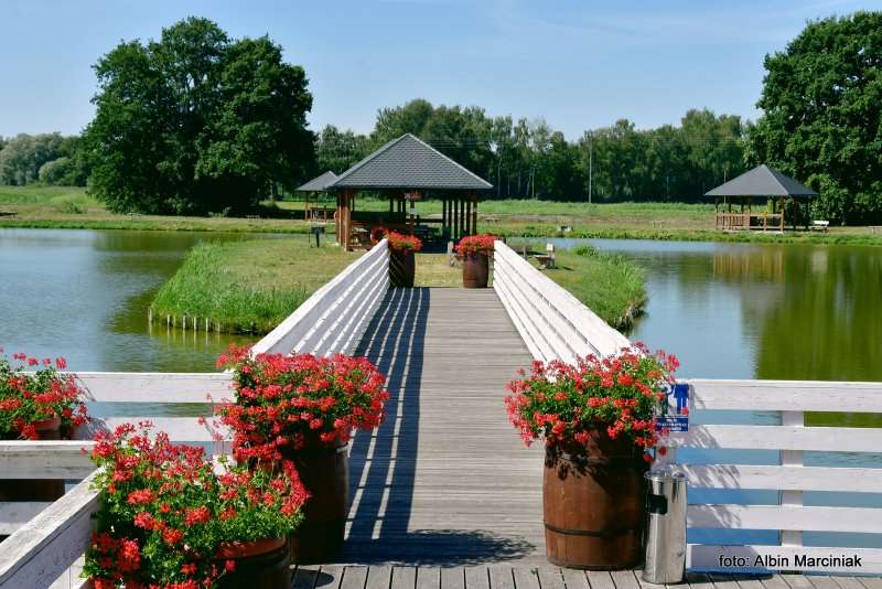 Milicz i Dolina Baryczy Stawy Milickie 36