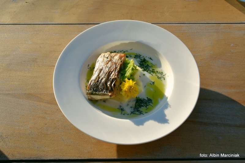 Milicz i Dolina Baryczy Stawy Milickie 39