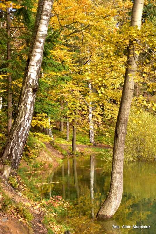 Kolorowe jeziorka w Rudawach Janowickich 13