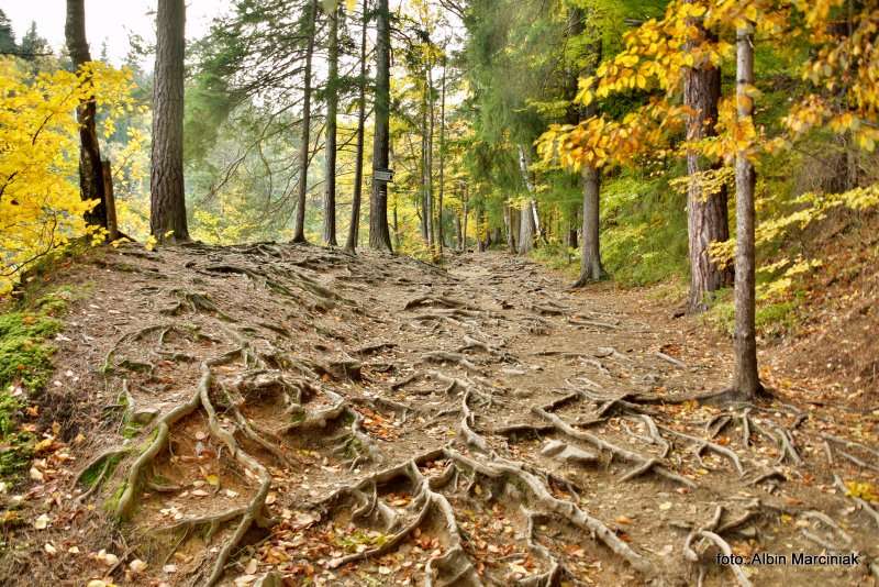 Kolorowe jeziorka w Rudawach Janowickich 8