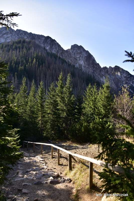 Sarnia Skała Tatry 1