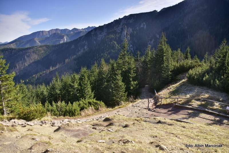 Sarnia Skała Tatry 16