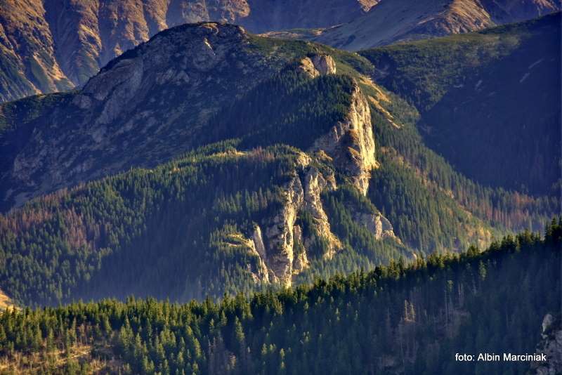 Sarnia Skała Tatry 9