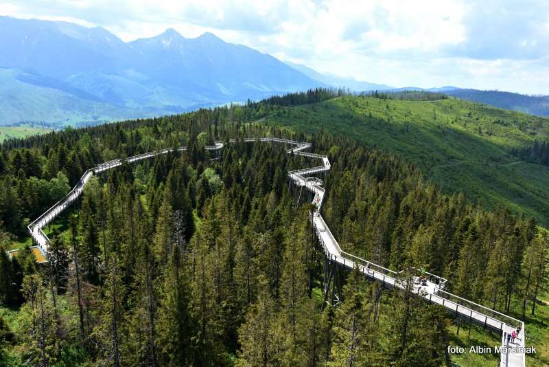 wieża widokowa ścieżka w koronach Słowacja 16