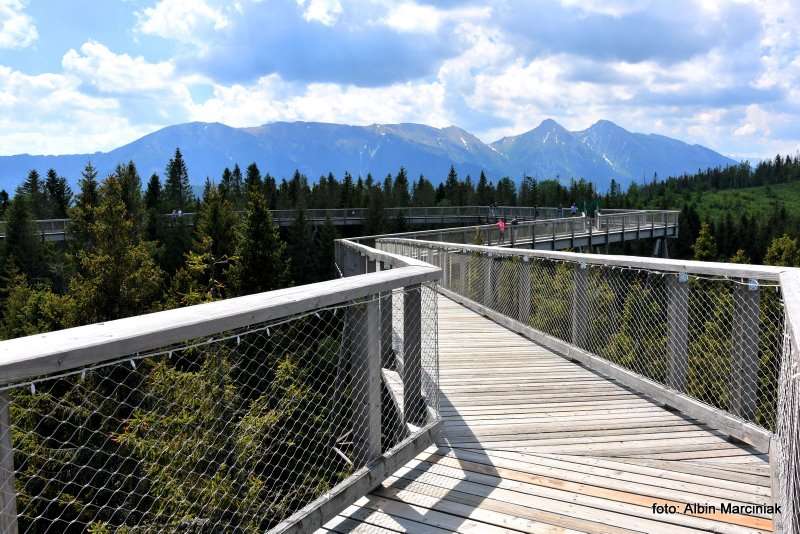 wieża widokowa ścieżka w koronach Słowacja 9
