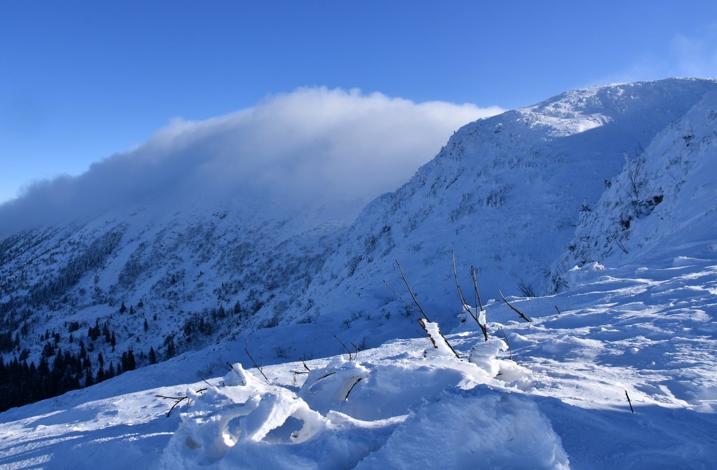 Babia Góra - szlak zimowy