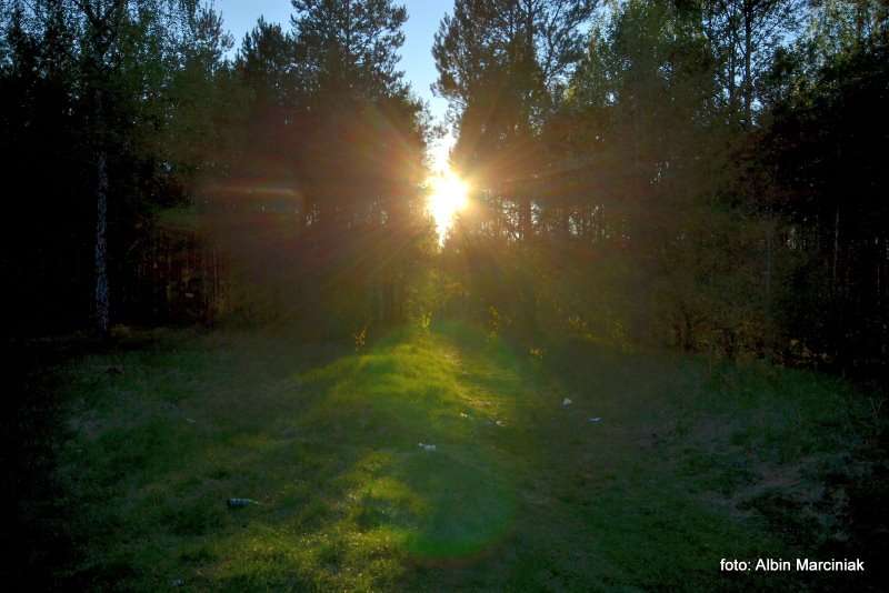 bunkier schron kolejowy w Jeleniu 15