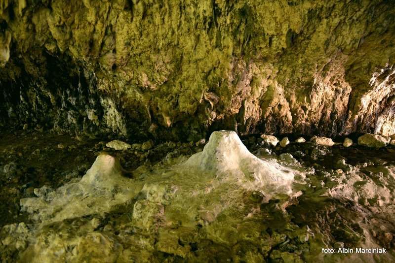 Jaskinia Nietoperzowa 7