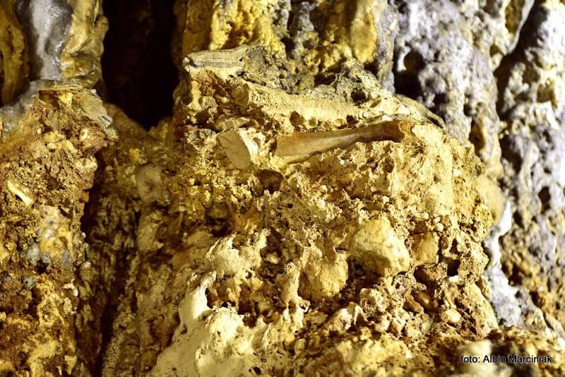 Jaskinia Nietoperzowa 9