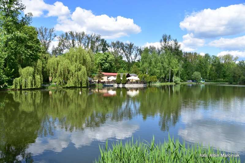 Zespol przyrodniczo krajobrazowy Zabie Doly Park teren rekreacyjny 22