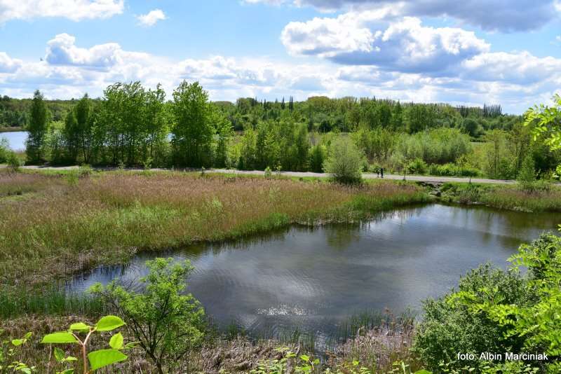 Zespol przyrodniczo krajobrazowy Zabie Doly Park teren rekreacyjny 3