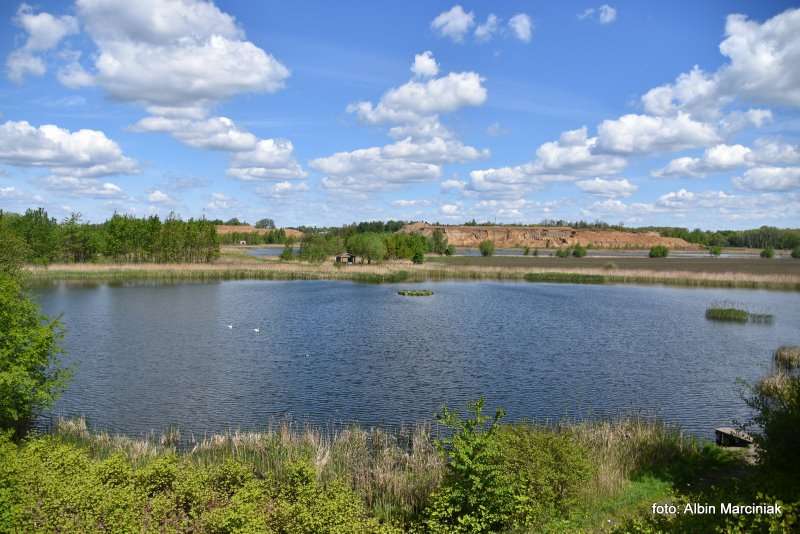 Zespol przyrodniczo krajobrazowy Zabie Doly Park teren rekreacyjny 7